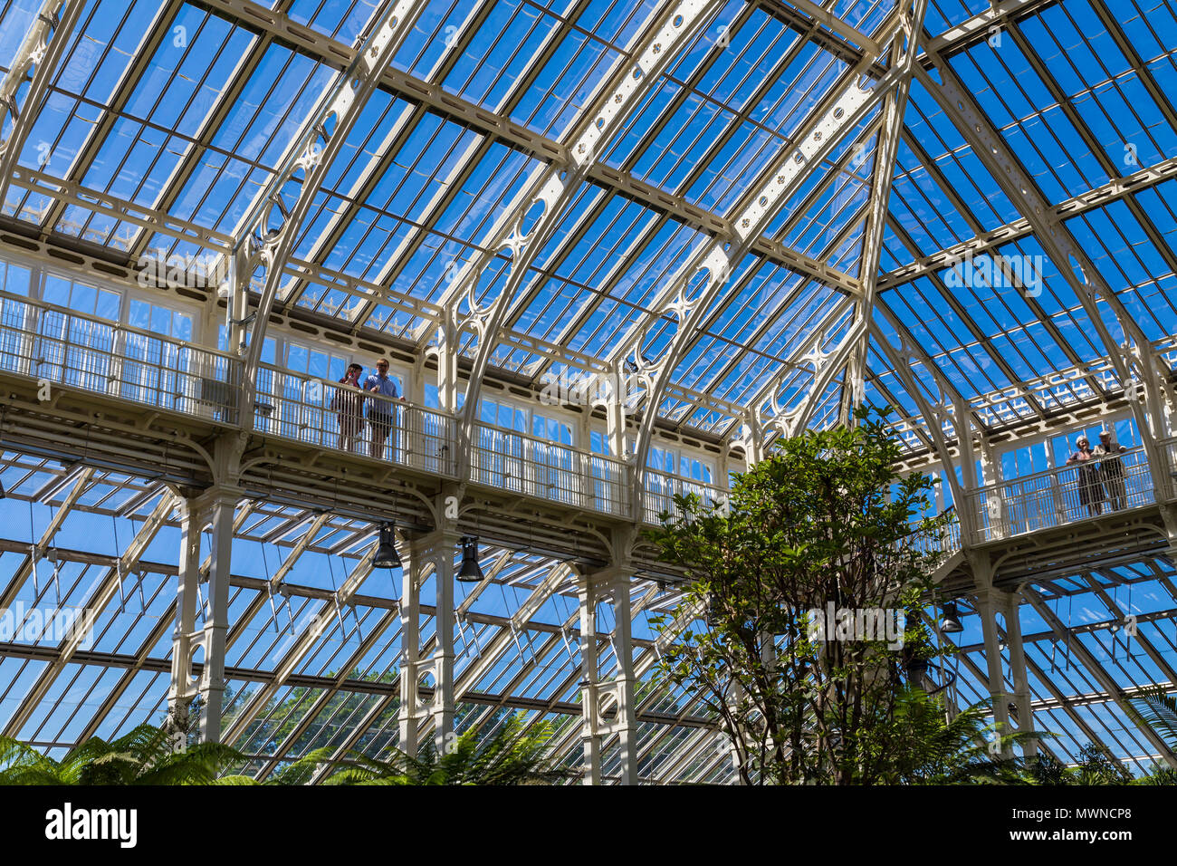 Copertura in ferro e vetro e mezzanine passerelle di recentemente ristrutturato e riaperto Casa Clima temperato in Kew Gardens, London, Regno Unito Foto Stock