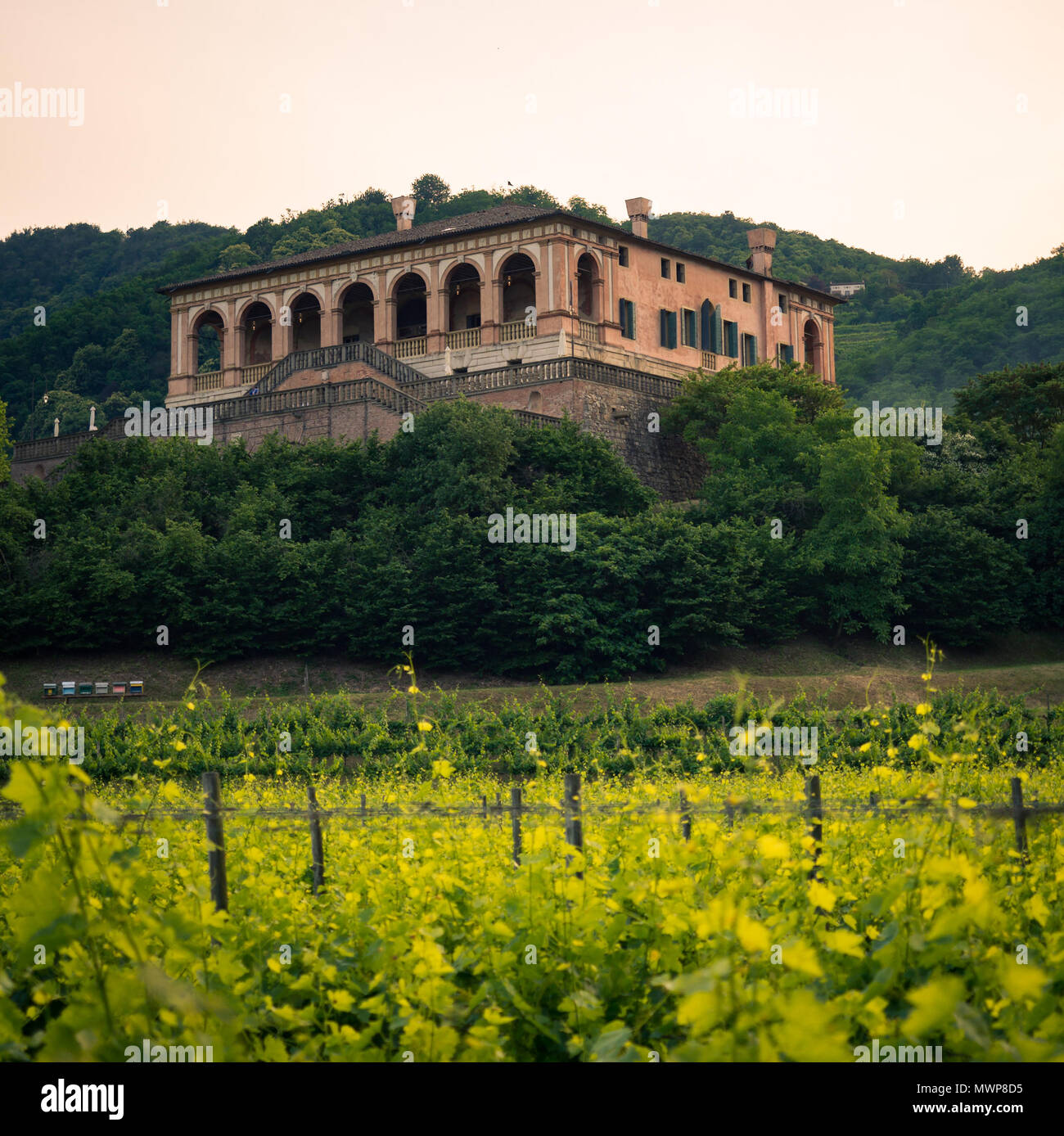 Torreglia, Italia - 26 Maggio 2018: Villa dei Vescovi è un veneziano di villa rinascimentale. Attualmente è un museo aperto al pubblico. Foto Stock
