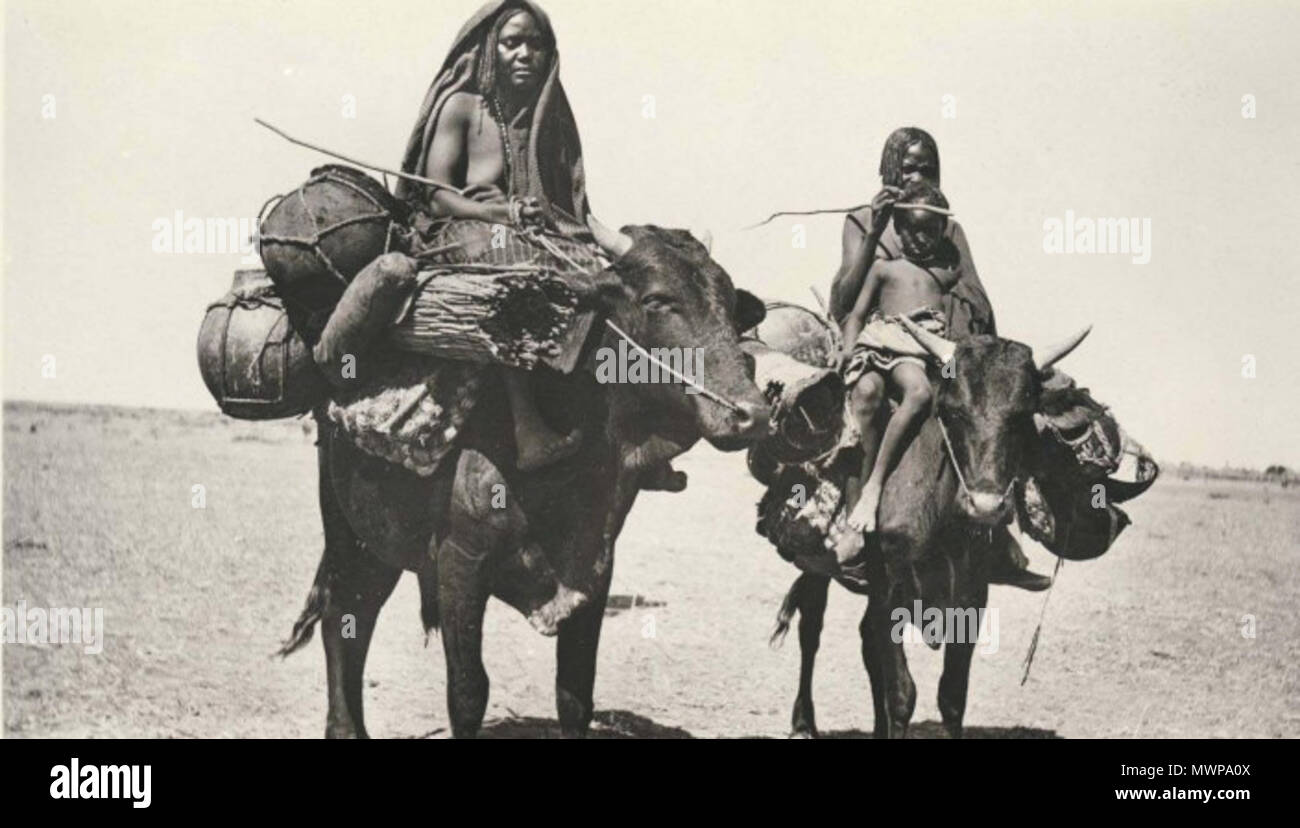 . Inglese: Donne in viaggio nel Kordofan - inizio del XX secolo il sud Sudan. Le donne della tribù Messiria ramo dei Baggara arabi che viaggiano da buoi. . Sconosciuto (G.N. Morphig?) 68 Baggara nel Kordofan Foto Stock