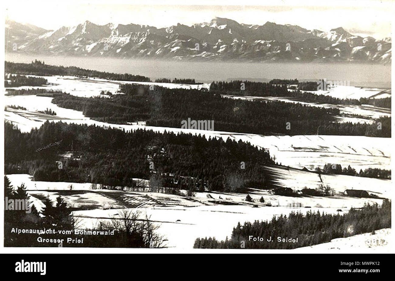 . Šumavská vyhlídka na Alpy . foto: Josef Seidel (1859-1935) 550 Seidel02 Foto Stock