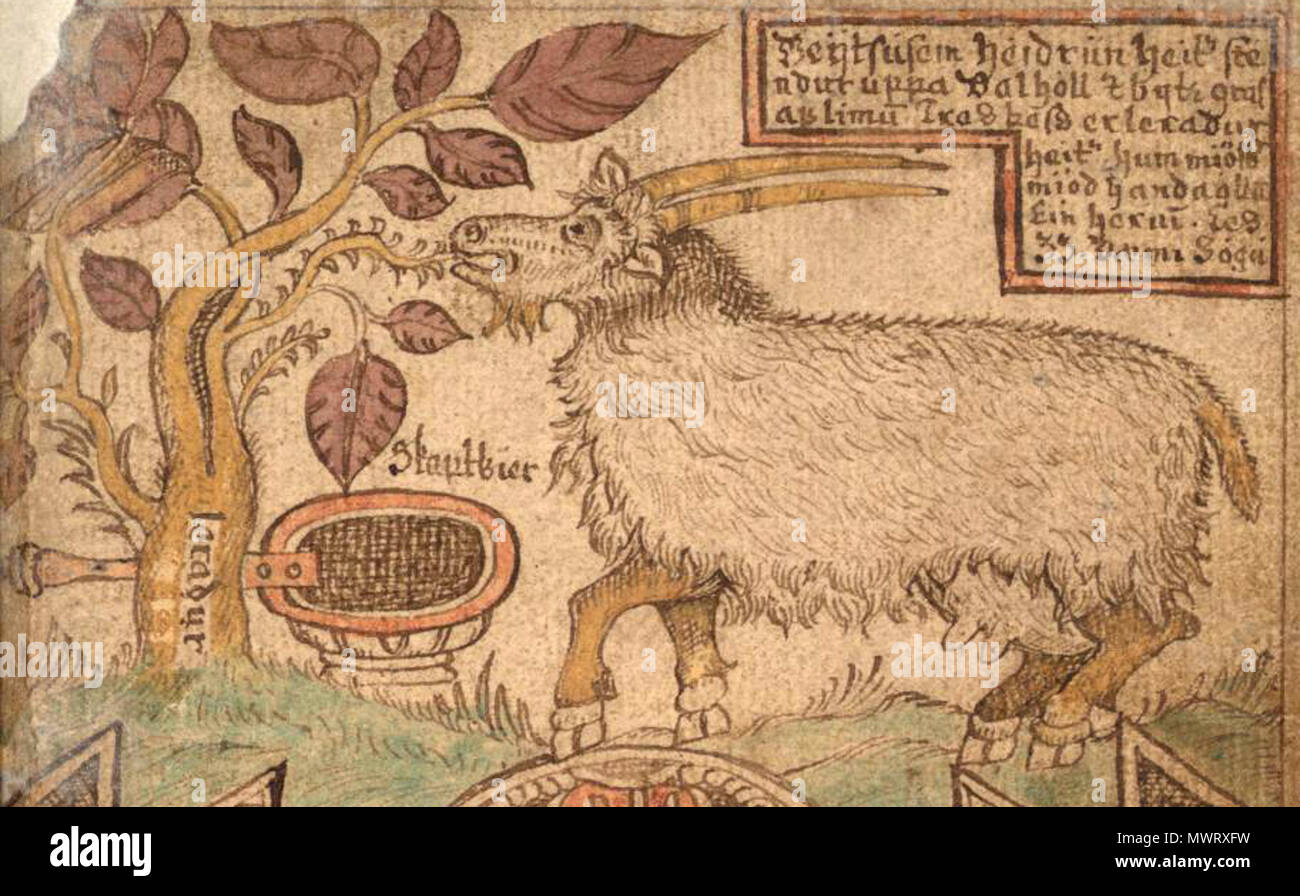 584 SÁM 66, 73r, Heiðrún Foto Stock