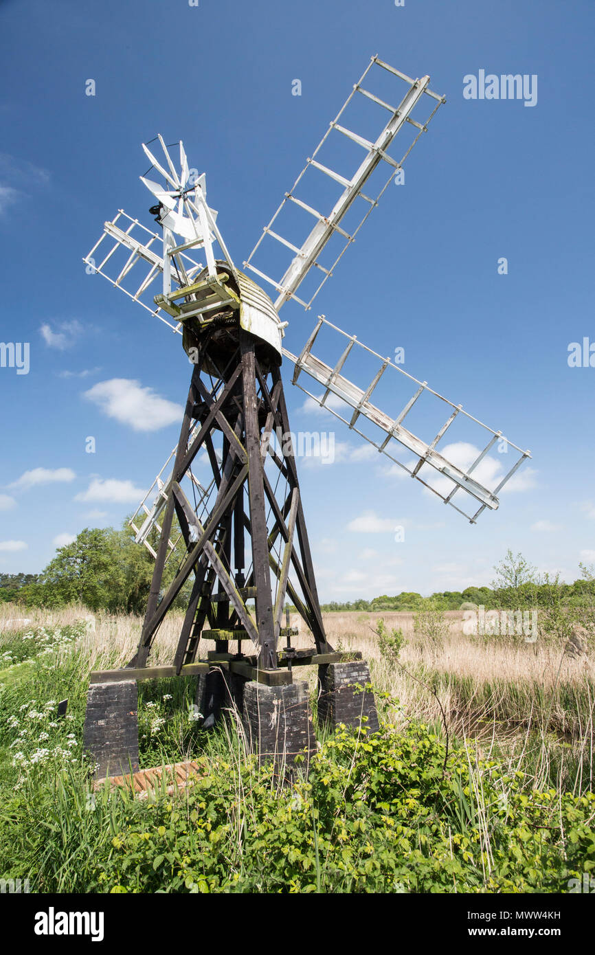 Vista del drenaggio Clayrack mulino sul fiume Ant, Norfolk Broads, England, Regno Unito Foto Stock