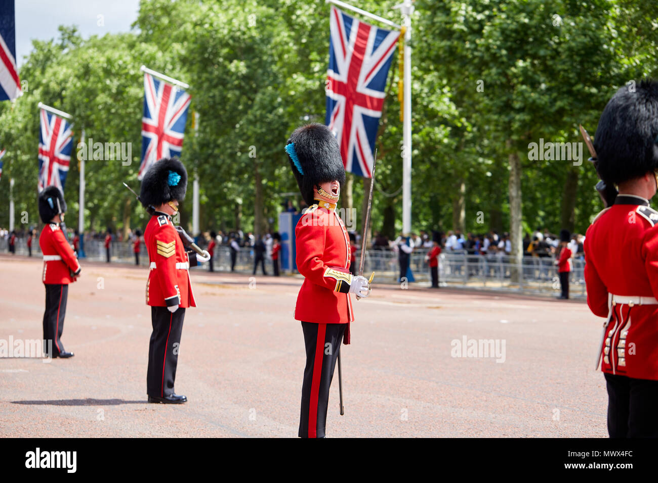 Londra, Regno Unito. 2 Giugno 2018. Un soldato in uniforme cerimoniale, grida ordini ai colleghi in servizio durante il colonnello della revisione. Il colonnello della revisione è la seconda prova per il Trooping la parata di colori. Preso sul Mall, Londra. Credito: Kevin Frost/Alamy Live News Foto Stock