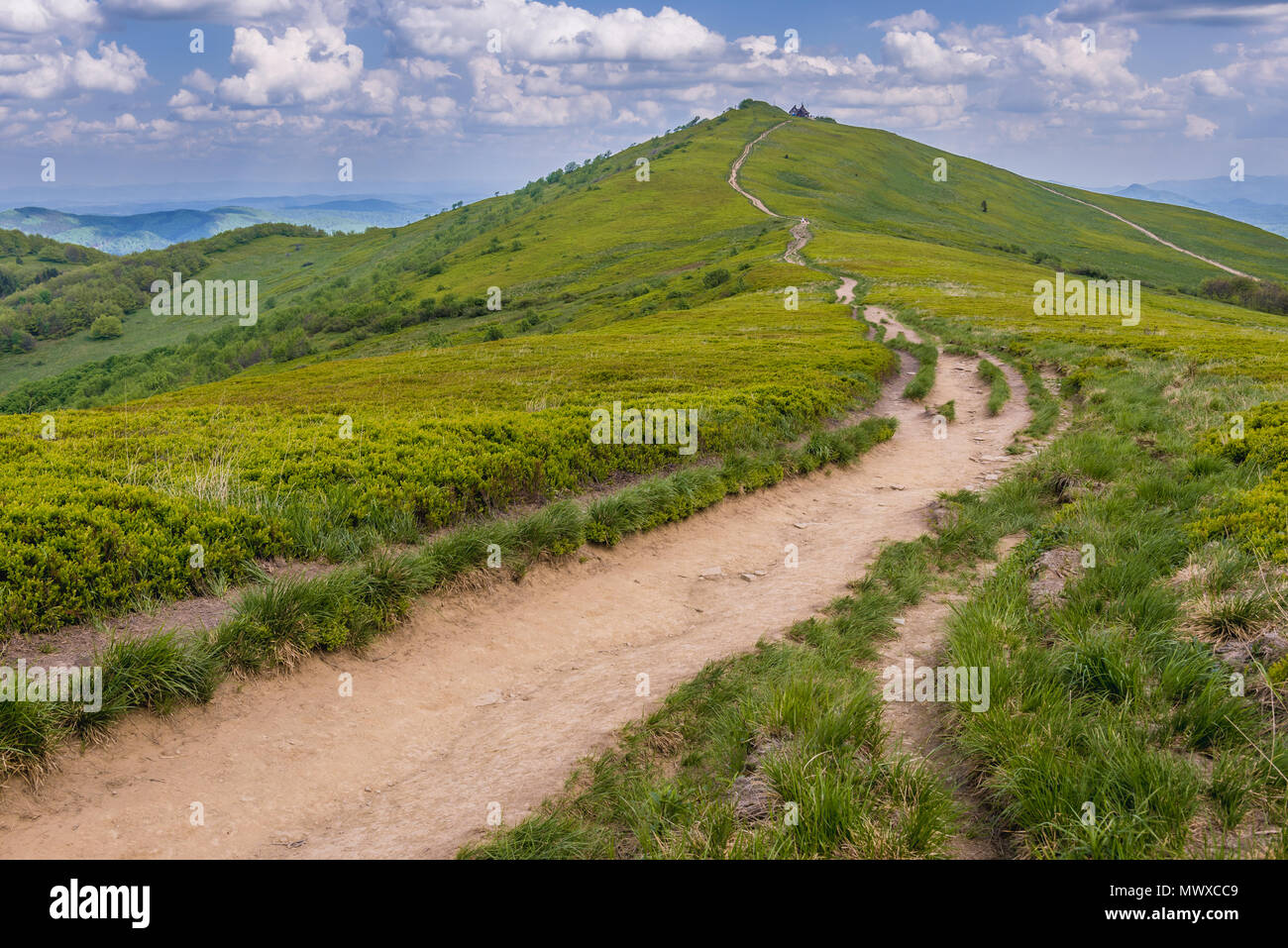 Sentiero per il cosiddetto Winnie the Pooh capanna rifugio su una roccia Hasiakowa montagna, parte dei prati Wetlina in Western monti Bieszczady in Polonia Foto Stock
