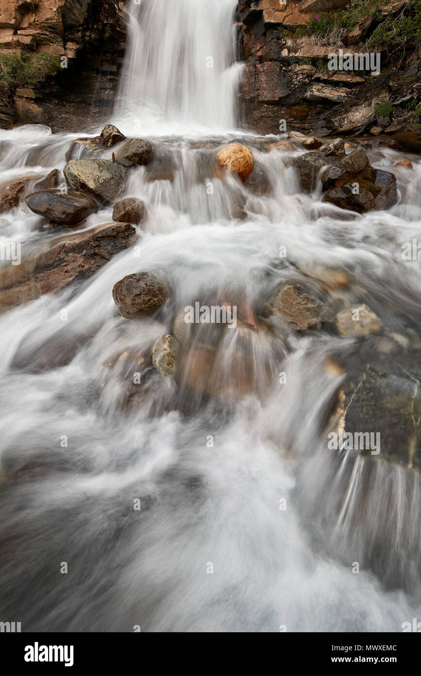 Groviglio scende, il Parco Nazionale di Jasper, Sito Patrimonio Mondiale dell'UNESCO, Alberta, Canada, America del Nord Foto Stock