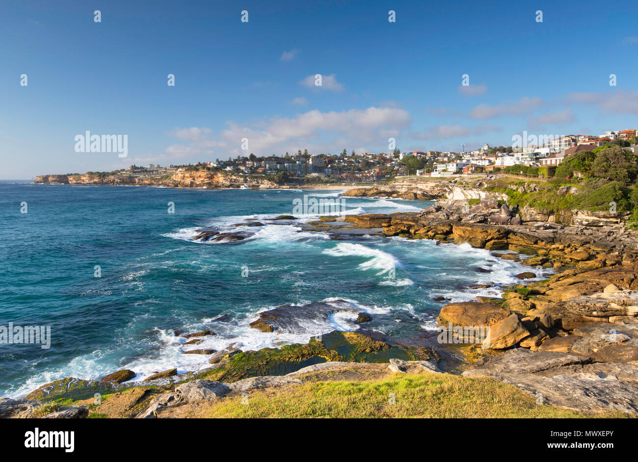 Costa di Bondi a Bronte a piedi, Sydney, Nuovo Galles del Sud, Australia Pacific Foto Stock