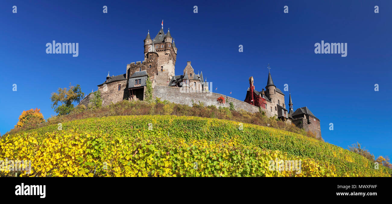 Castello di Reichsburg e vigneti in autunno, Cochem, Valle della Mosella, Renania-Palatinato, Germania, Europa Foto Stock