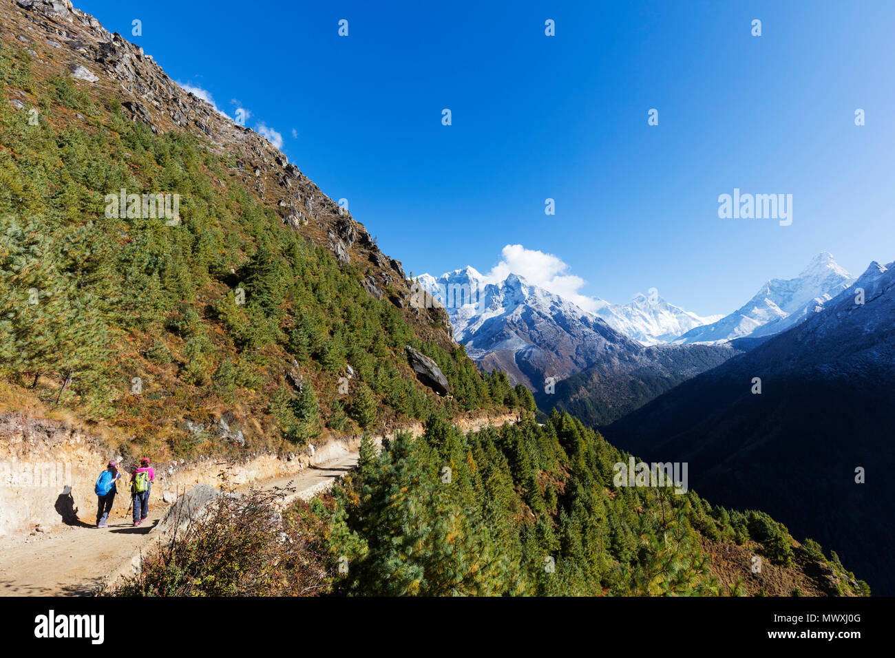 Ama Dablam, 6812m, sul Nuptse e Lhotse montagne, Parco Nazionale di Sagarmatha, Sito Patrimonio Mondiale dell'UNESCO, Valle del Khumbu, in Nepal, Himalaya, Asia Foto Stock