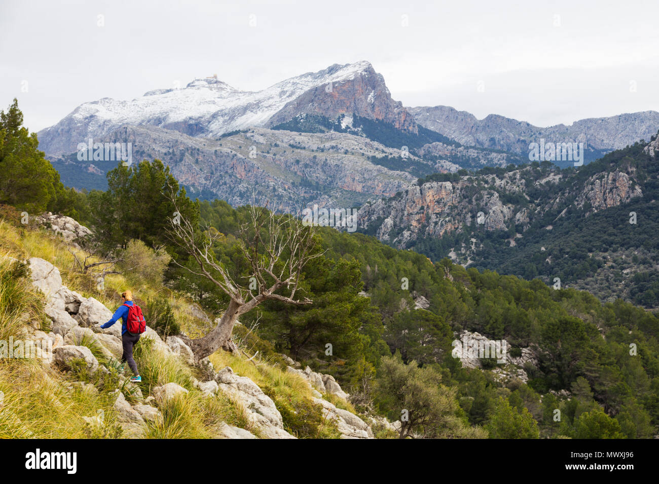 Serra de Tramuntura, escursionista su un sentiero al di sopra di Soller, Maiorca, isole Baleari, Spagna, Mediterraneo, Europa Foto Stock