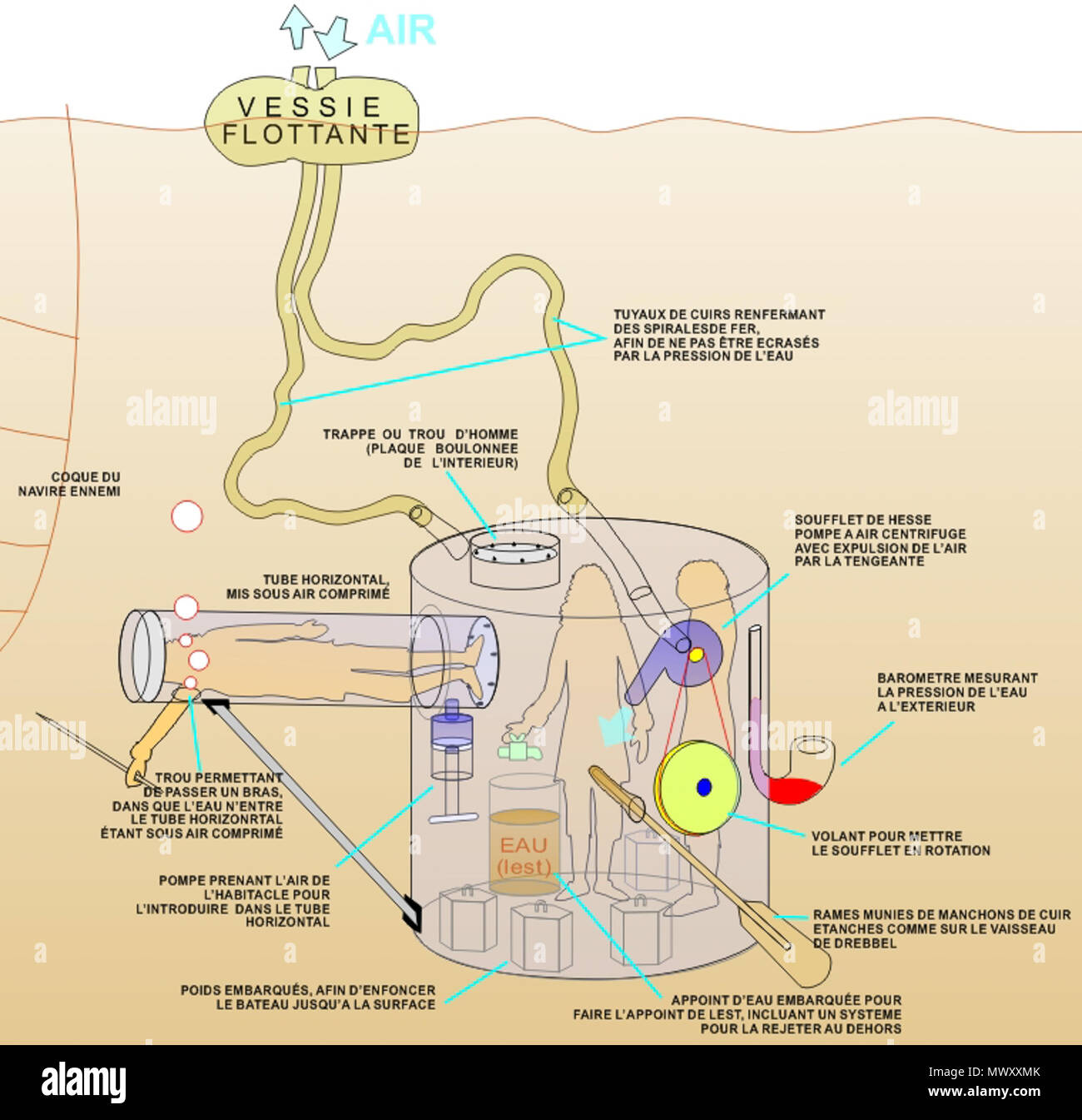 622 Urinator shéma Foto Stock