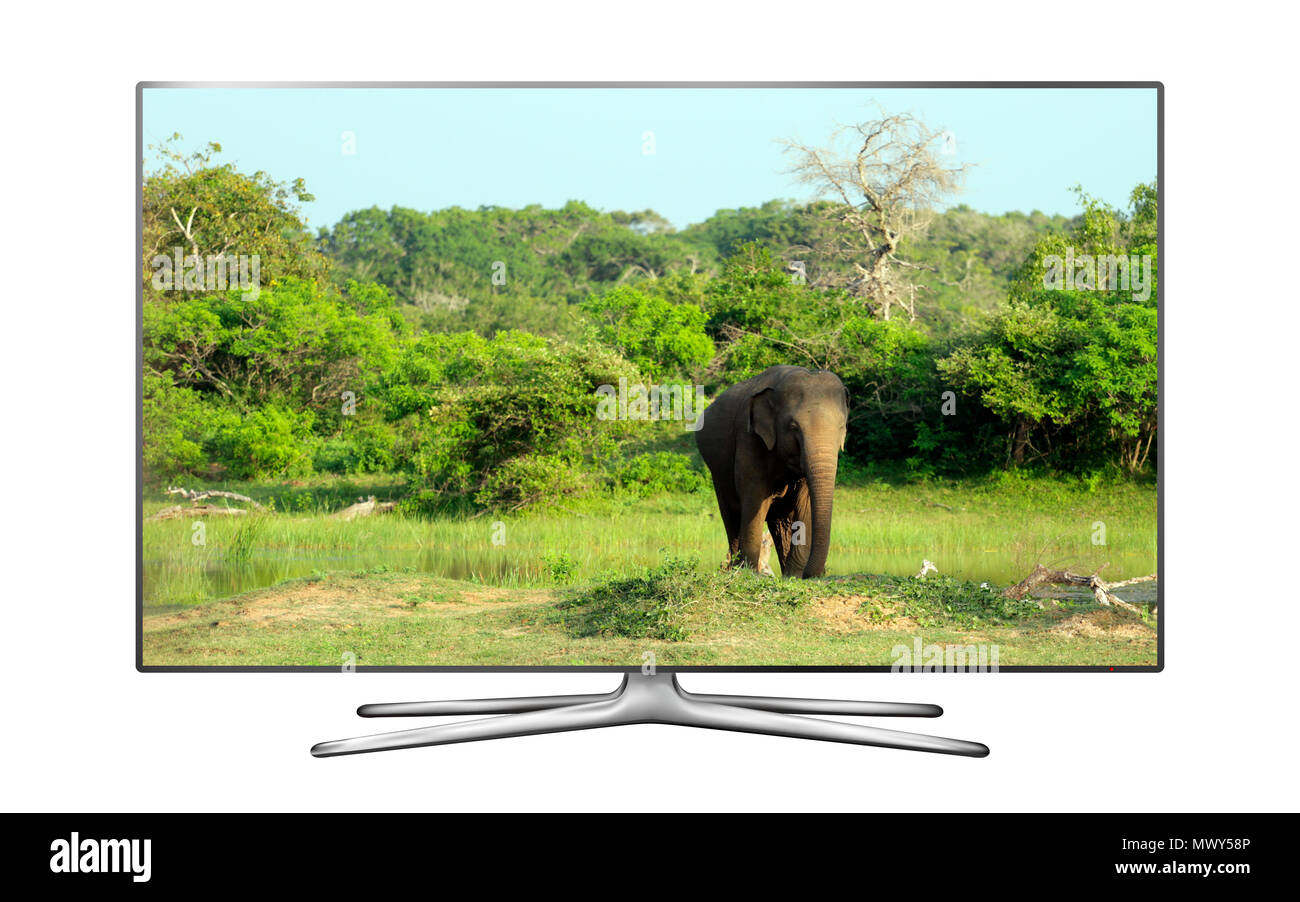 Smart TV isolato su sfondo bianco con elefanti selvatici sullo schermo Foto Stock