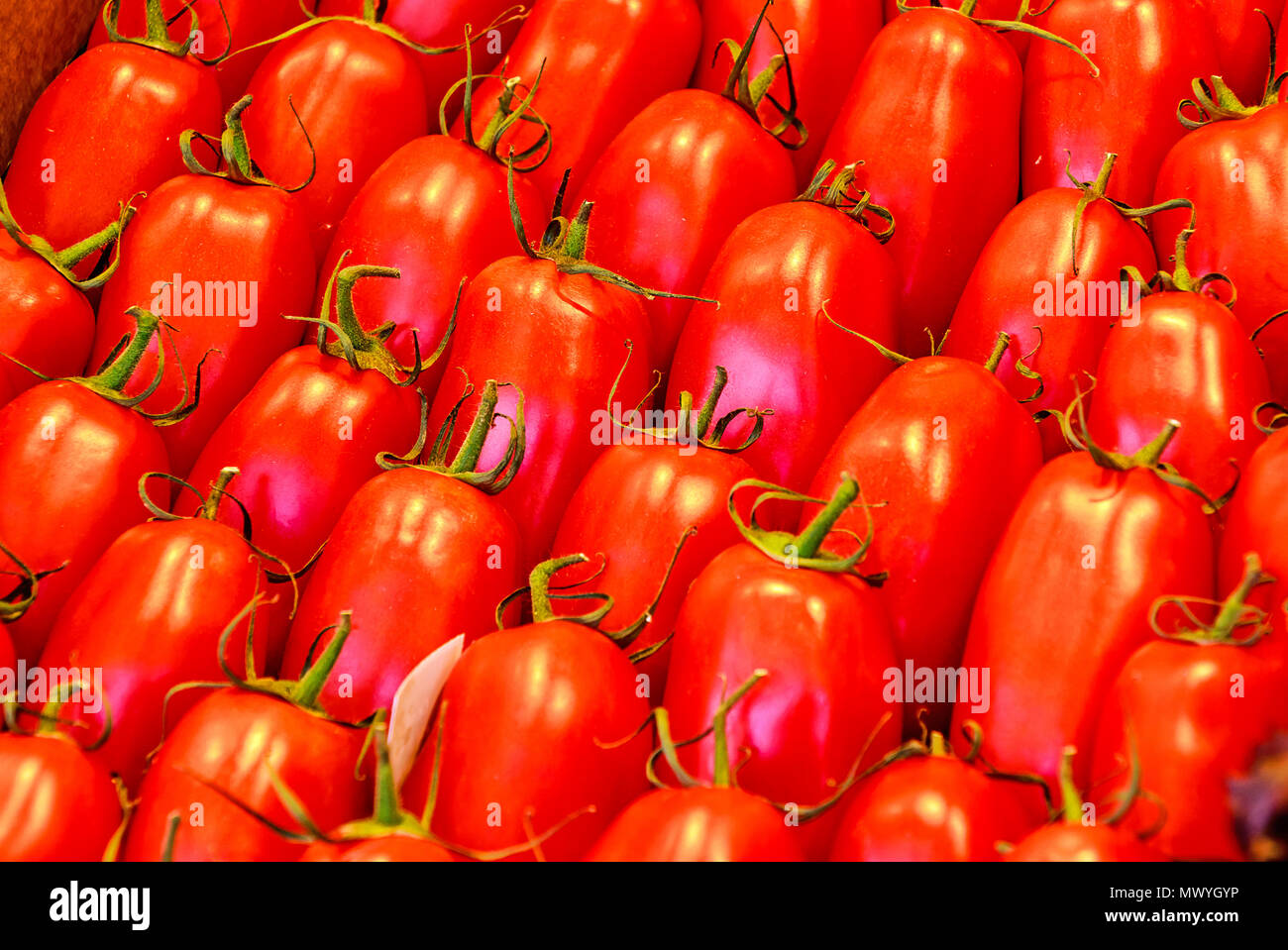 Sfondo di Roma (pomodoro pelato, noto anche come una trasformazione di pomodoro o di pomodoro pasta) Foto Stock