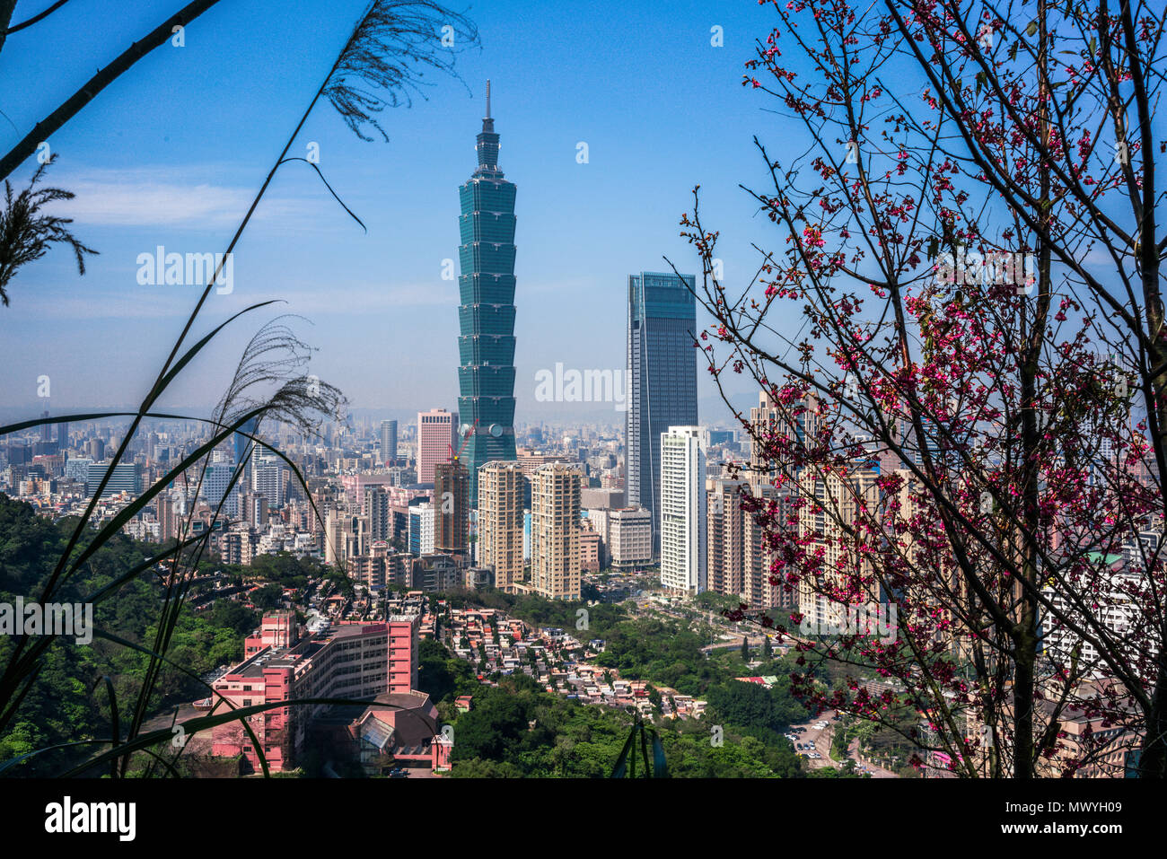 Taipei skyline della città di Taipei 101 edificio nel mezzo della natura visto dalla montagna di elefante in Taiwan Foto Stock