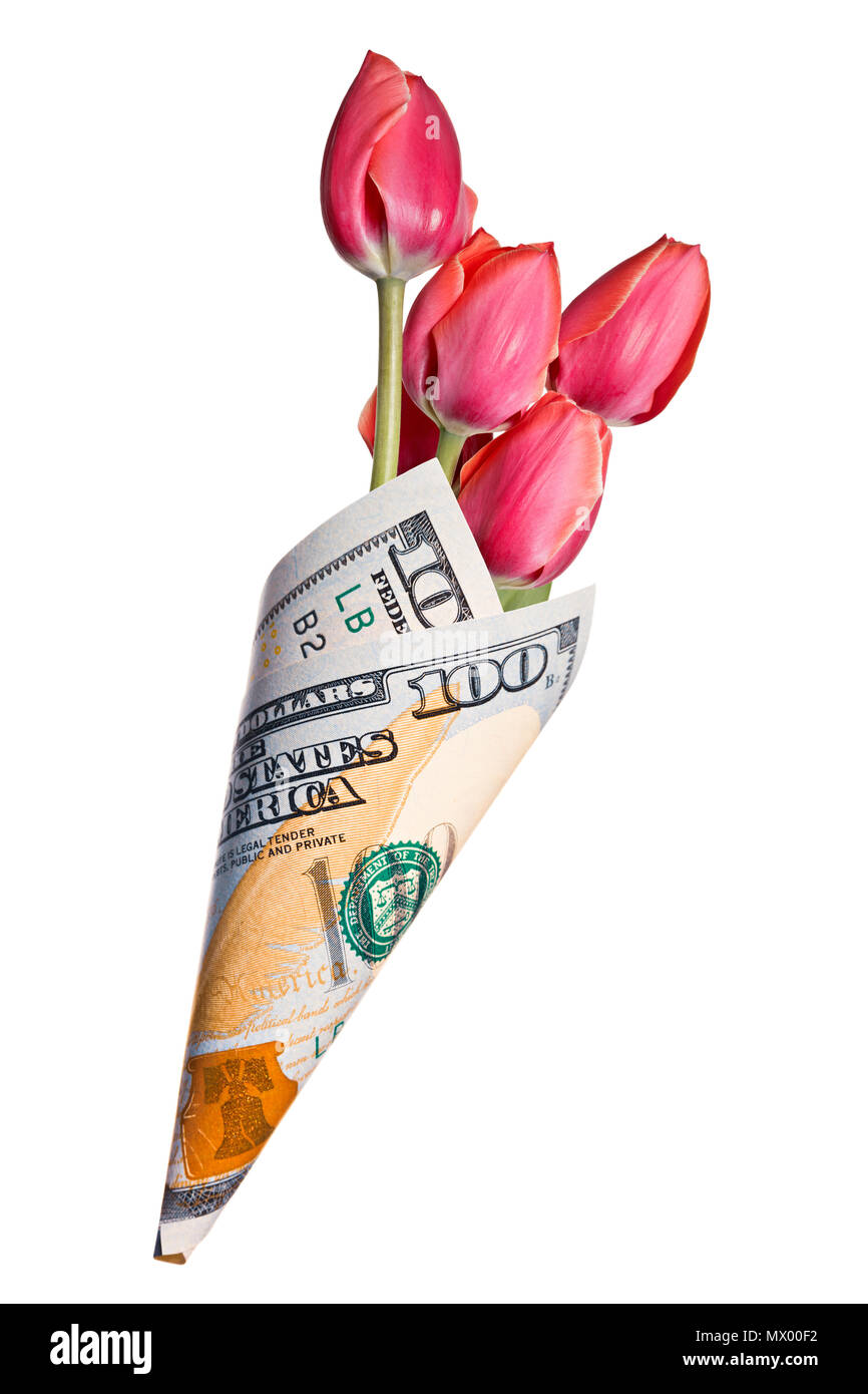 Divertente regalo, bouquet di fiori di tulip avvolto in un centinaio di dollari Foto Stock