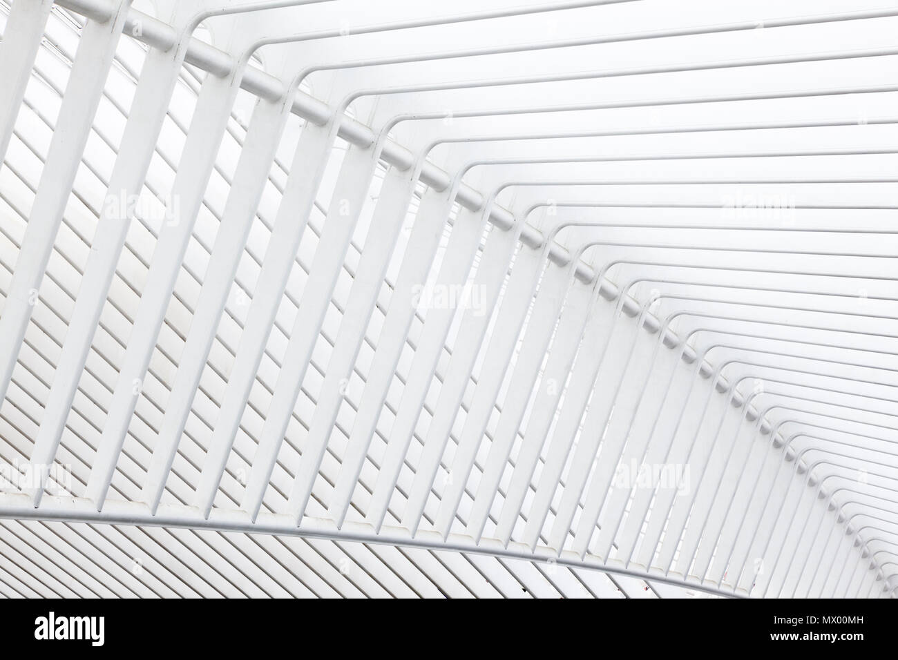 Curve in acciaio bianco struttura di tetto di Liegi Guilemins stazione ferroviaria. L'Architetto Santiago Calatrava Foto Stock