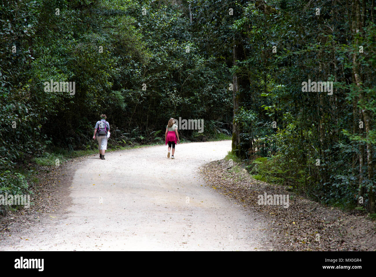 Due escursionisti su una strada nella foresta di Knysna, Sud Africa Foto Stock