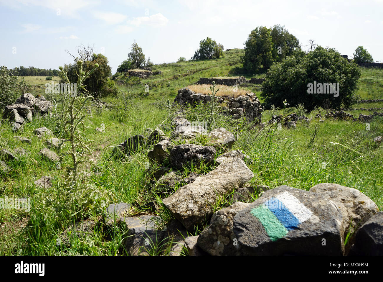 Golan trail in Galilea, Israele Foto Stock