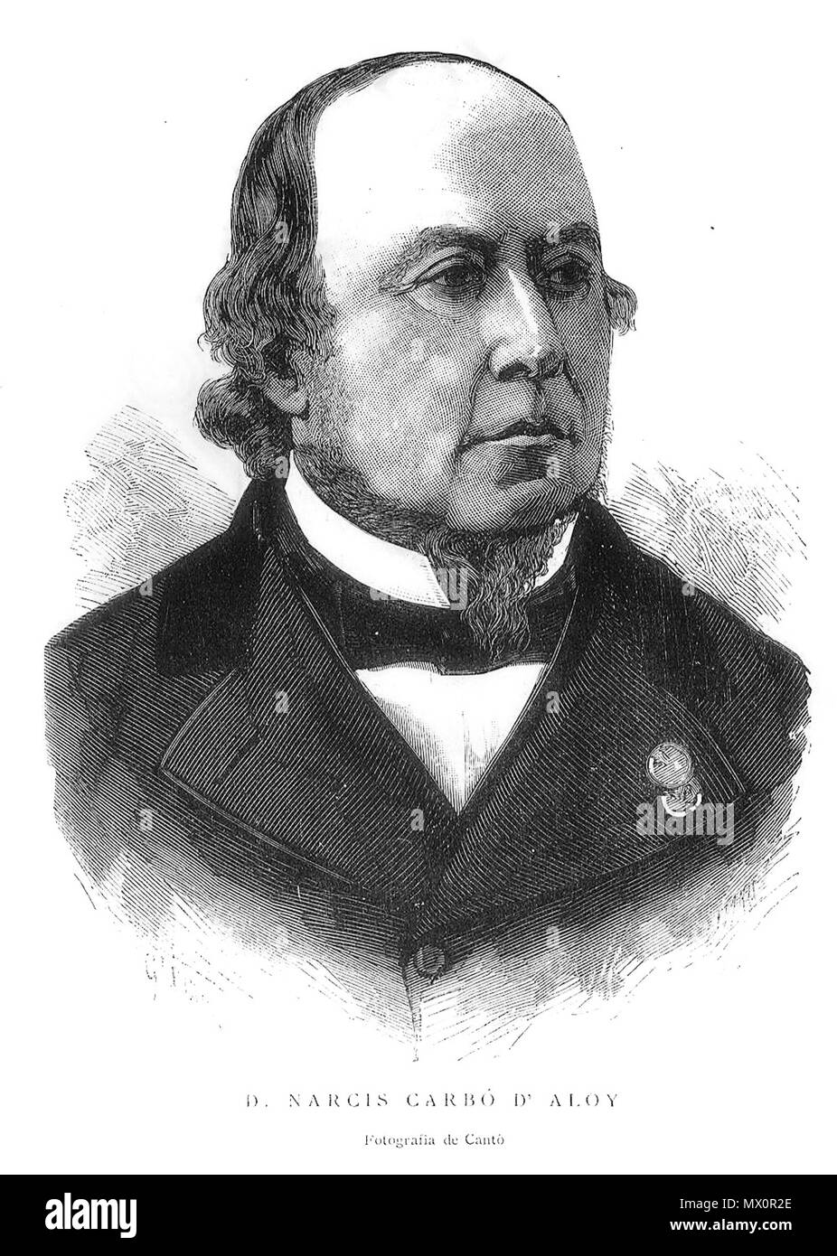 438 Narcís Carbo Aloi Foto Stock