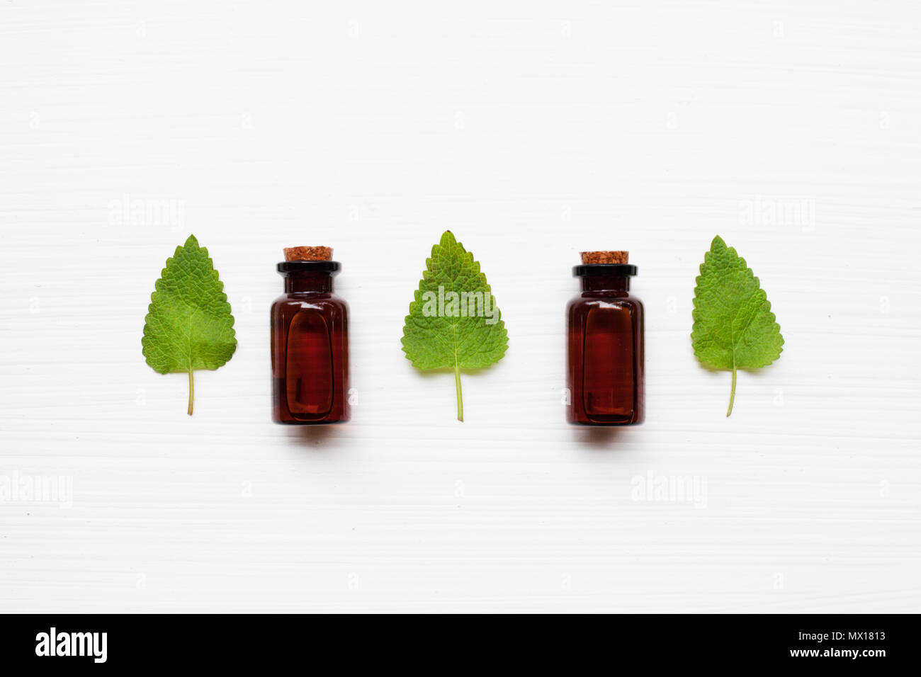 Melissa melissa olio essenziale con foglie fresche. Foto Stock