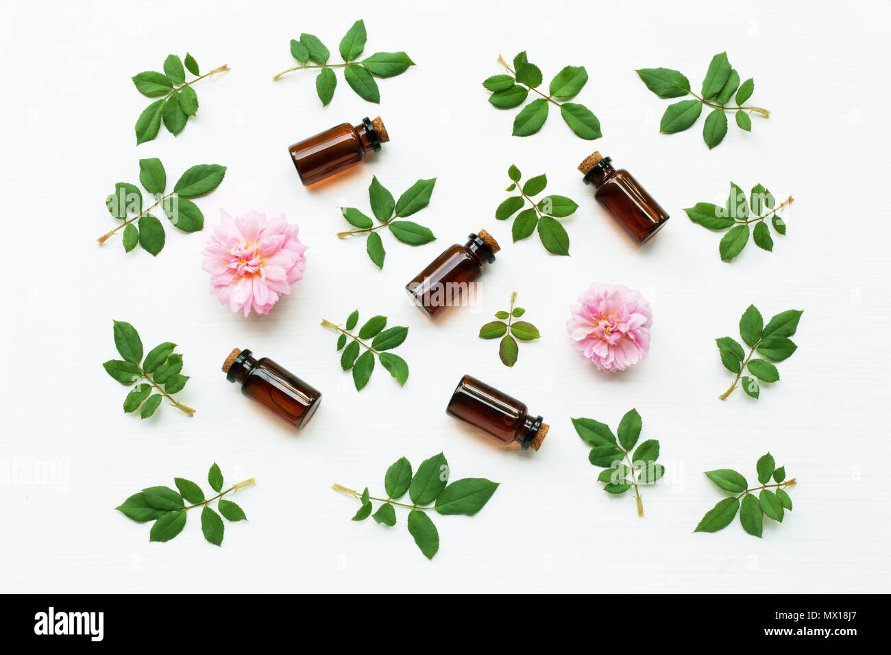 Bottiglie di olio essenziale di rosa per aromaterapia, Huntington Rose. Foto Stock