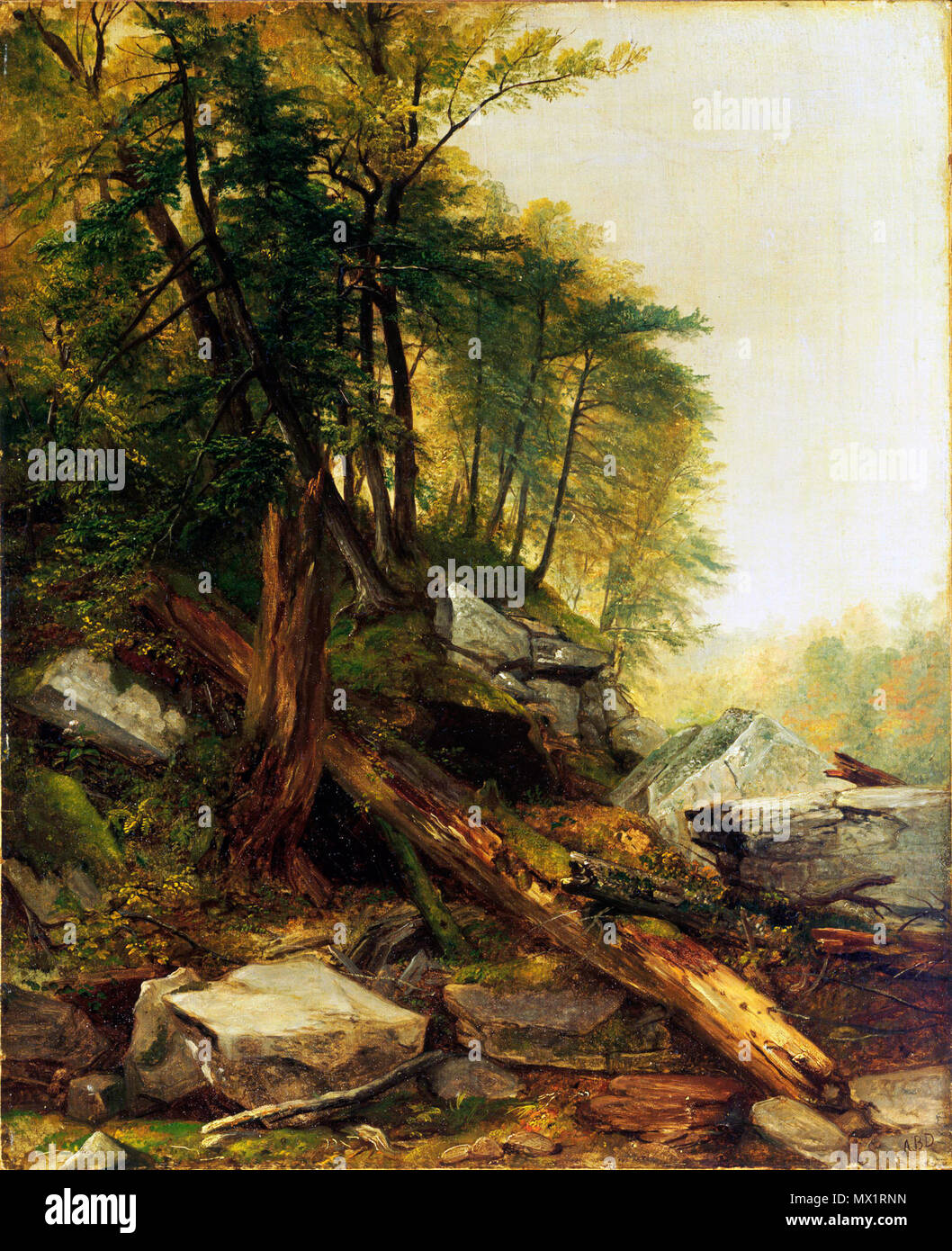 . Inglese: Asher Brown Durand, americano, 1796-1886 Kaaterskill paesaggio, 1850 olio su tela 54 x 44 cm. (21 1/4 x 17 5/16 in.) telaio: 77,2 × 67,2 × 8,5 cm (30 3/8 × 26 7/16 x 3 3/8 in.) Museo acquisto, John Maclean Magie, classe 1892, e Gertrude Magie fondo1946-104 y . 1850 8 1850, Durand, Asher Brown, Kaaterskill paesaggio Foto Stock