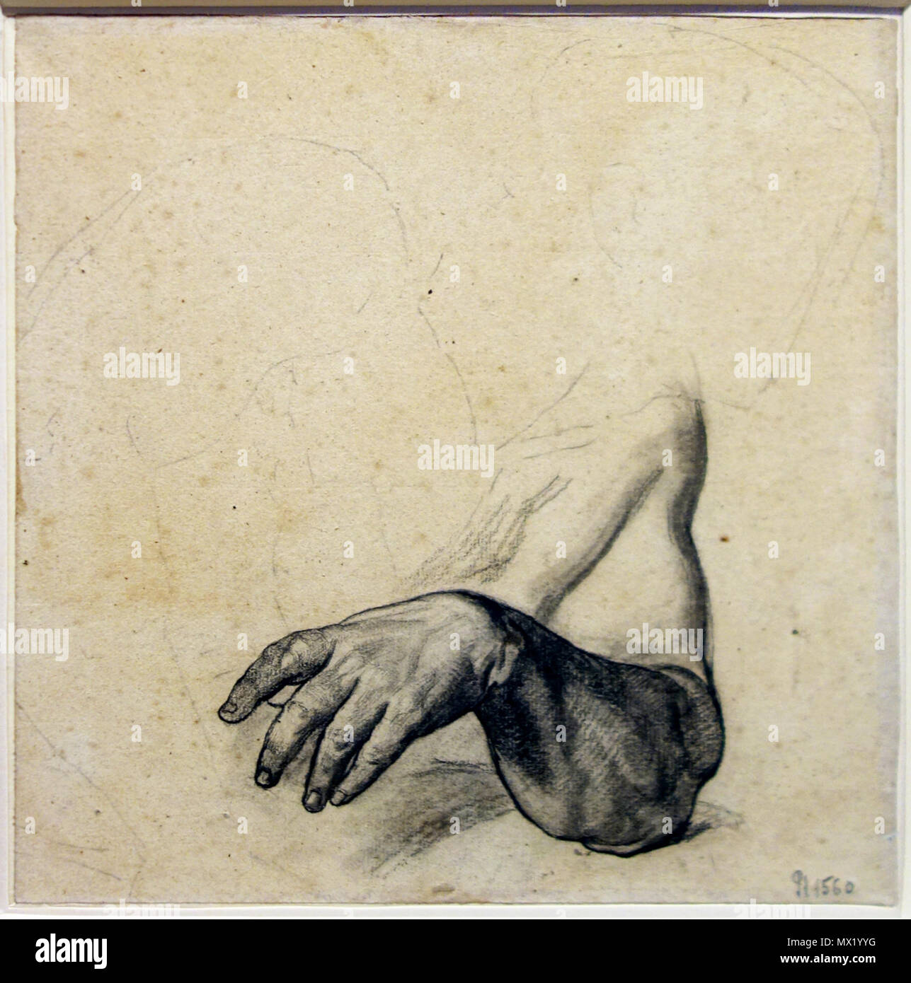 372 Lille PdBA mazerolle etude reggiseni neron Foto Stock