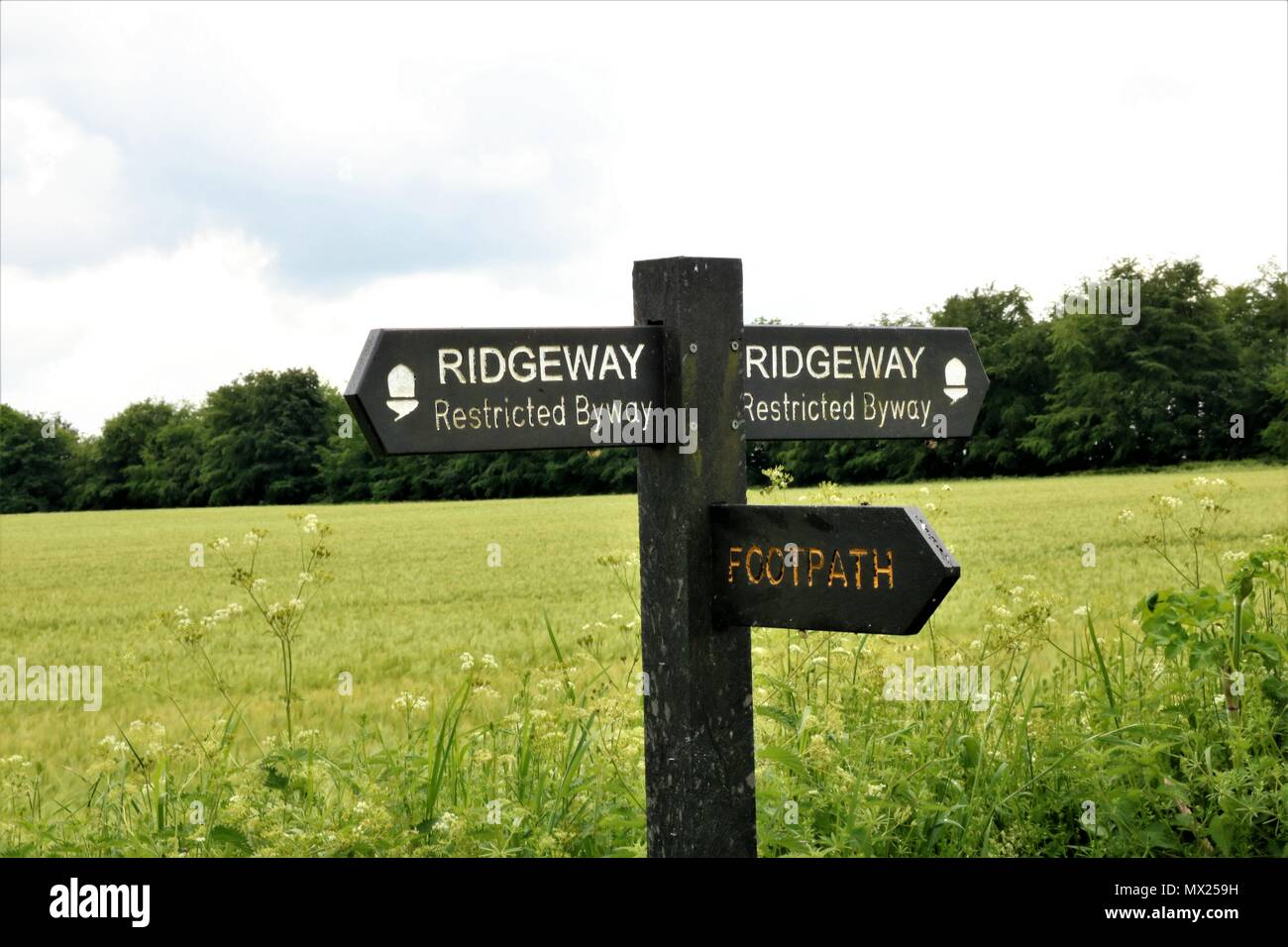 "Ridgeway limitato Byway' e 'Sentiero' segno White Horse Hill, Uffington, Faringdon, Oxfordshire, Regno Unito Foto Stock