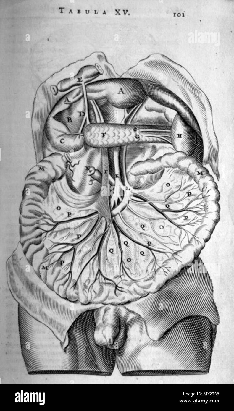 . Thomas Bartholin (1616-1680): ex Anatome omnium veterum recentiorumque observationibus, 1673. Gennaio 2008. McLeod 73 Bartholin colon Foto Stock