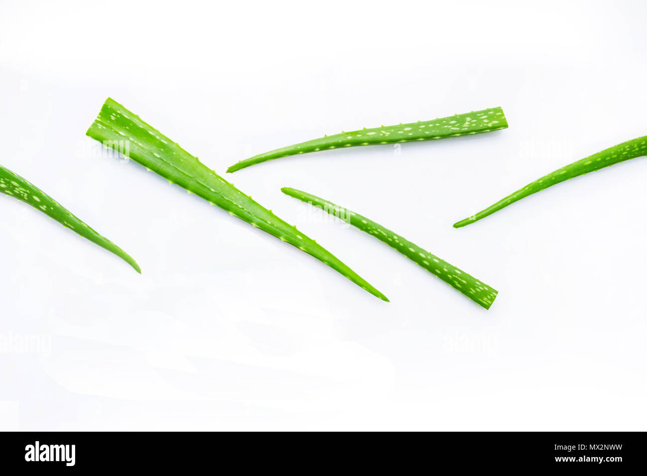 Aloe foglie fresche con aloe vera gel su misura in legno cucchiaio. isolato su bianco Foto Stock