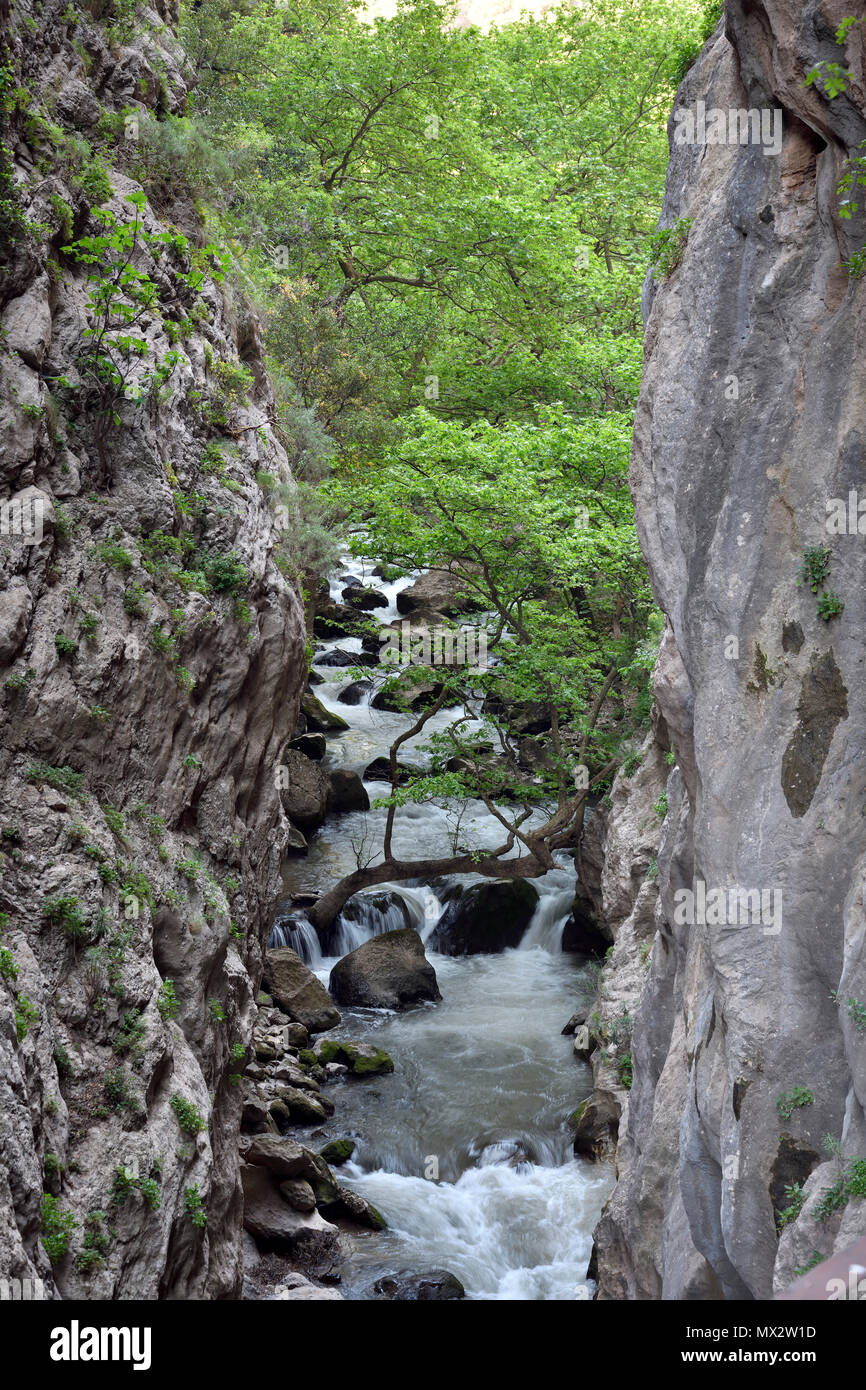 Vouraikos gorge nel Peloponneso, Grecia Foto Stock
