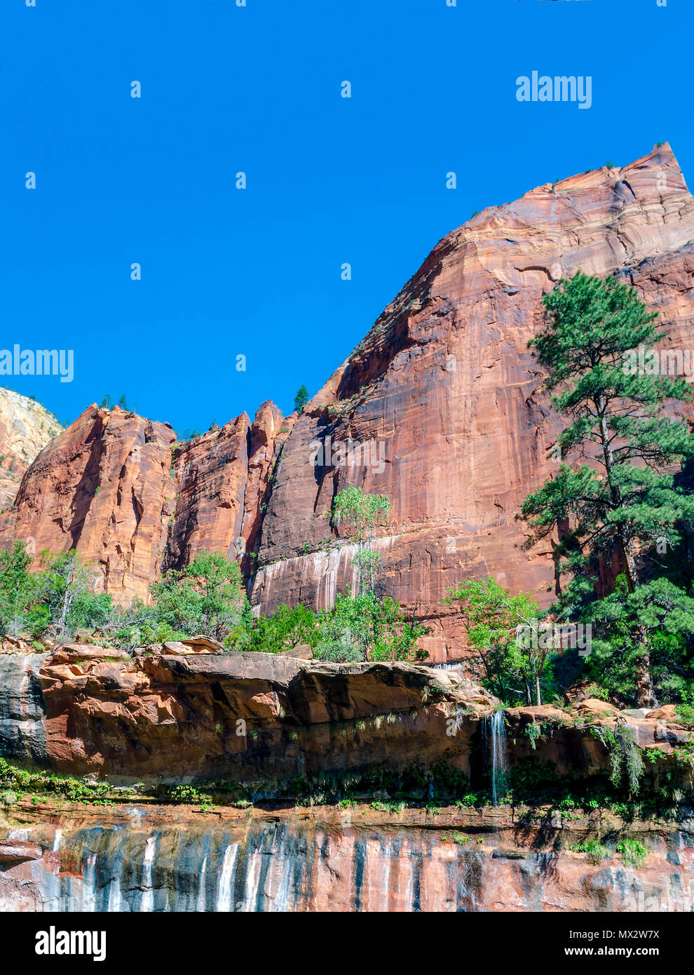 Arance grandi red rock mountain sotto il cielo blu chiaro con alti alberi verdi e valle. Foto Stock