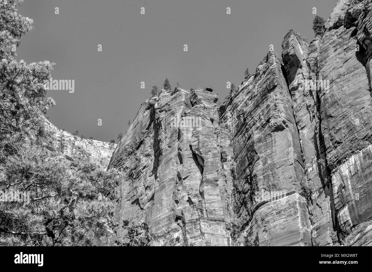 Alberi sul lato sinistro roccia ripida montagna sulla destra sotto un cielo chiaro. Ripide scogliere canyon verticale parete. In bianco e nero. Foto Stock