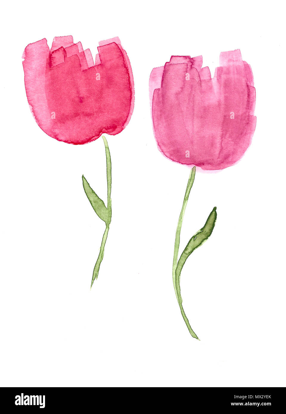 Disegnato a mano tulipani ad acquerello Foto Stock