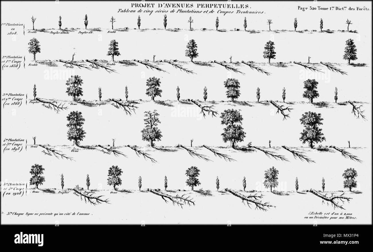 504 Projet d'avenue perpétuelle 1827 Jacques-Joseph Baudrillart Foto Stock