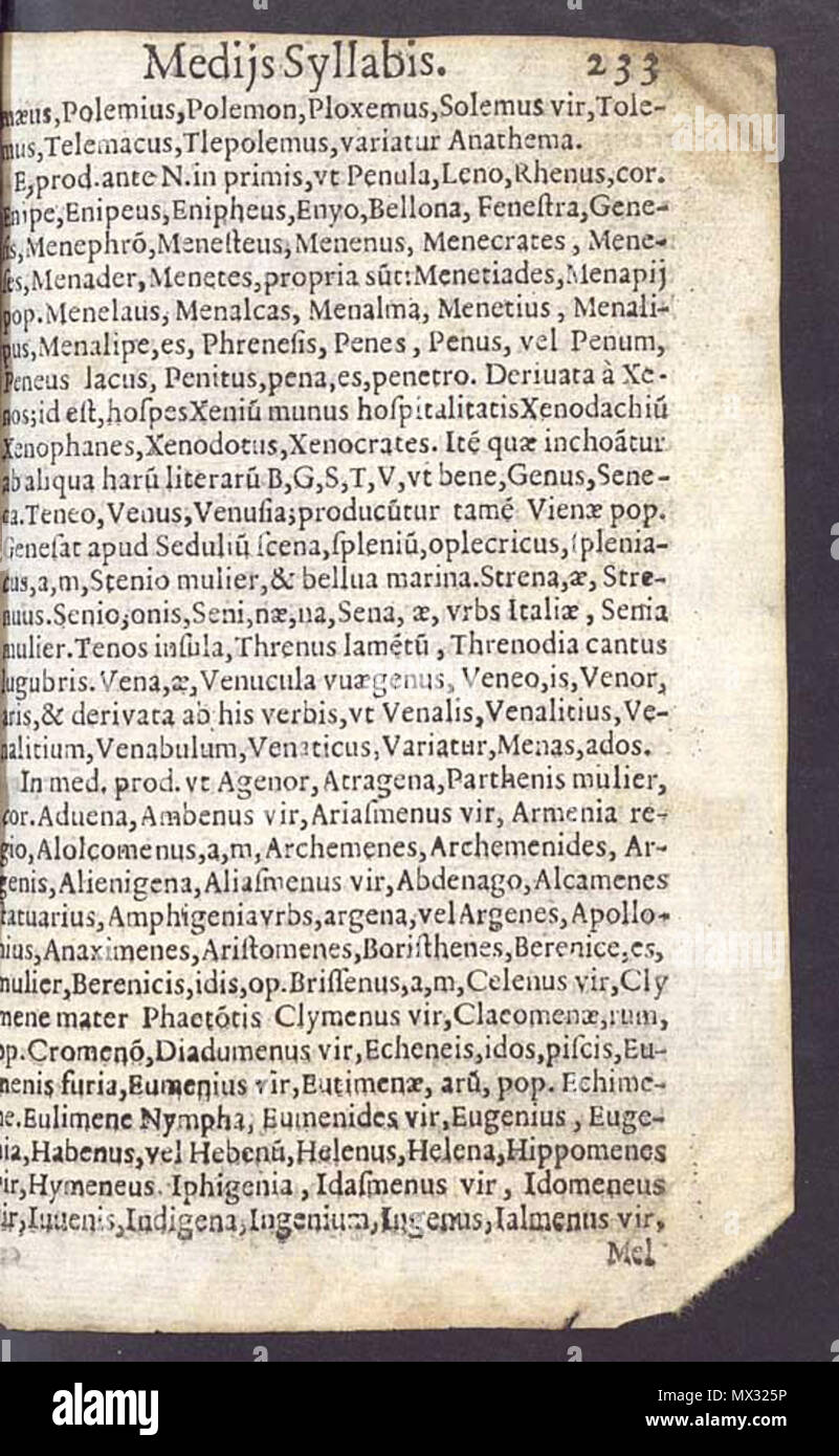 . Polski: Anonimo & http://dbpedia.org/resource/Anonymous (fascia).+[De institutione grammaticae liber quintus [de Syllabarum quantificare ac versificandi ratione]]. Europeana. Richiamato su 2015-09-27. Tra il 1500 e il 1600. Anonimo 156 De Syllabarum quantificare ac versificandi ratione p. 233 Foto Stock