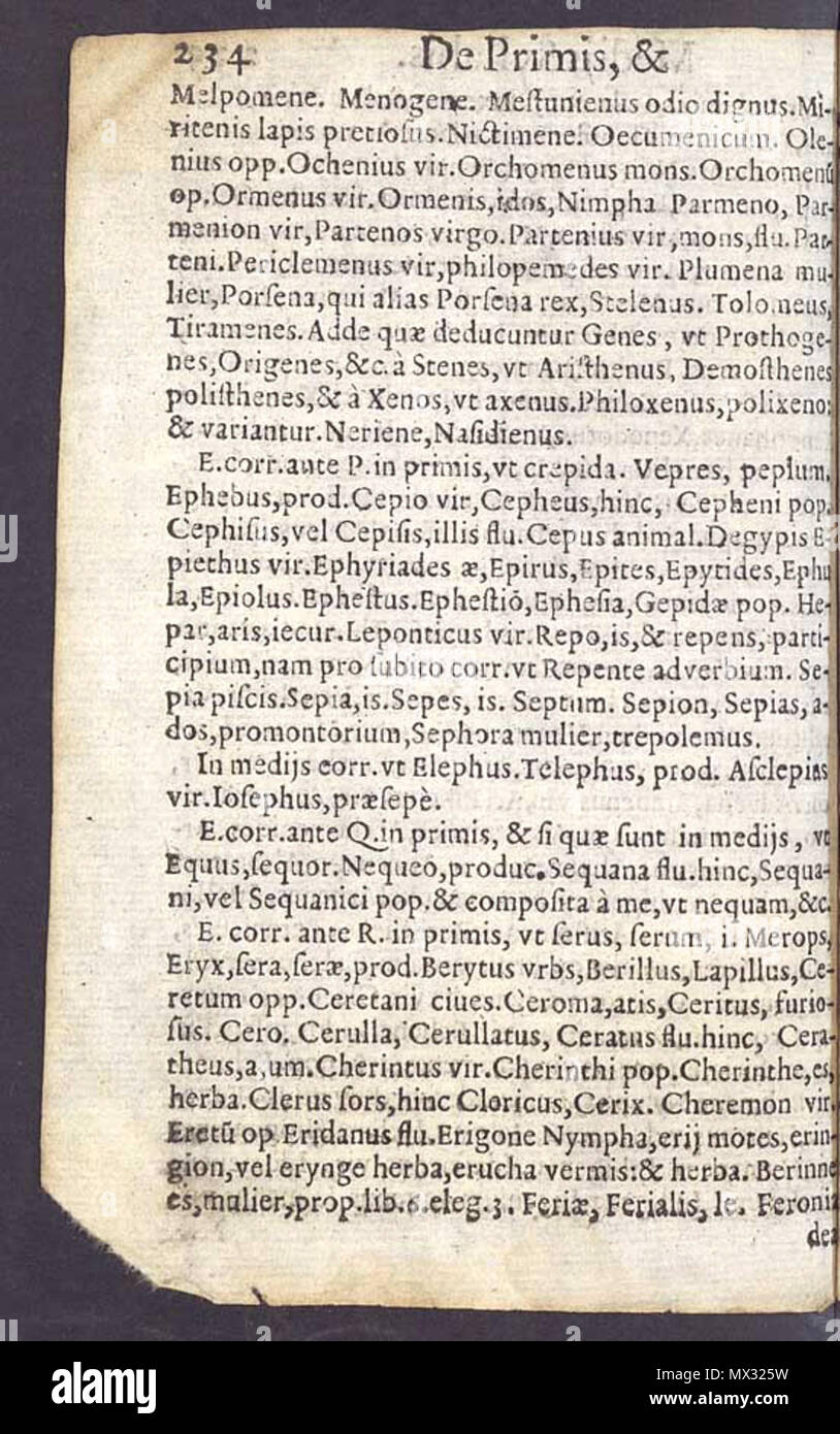 . Polski: Anonimo & http://dbpedia.org/resource/Anonymous (fascia).+[De institutione grammaticae liber quintus [de Syllabarum quantificare ac versificandi ratione]]. Europeana. Richiamato su 2015-09-27. Tra il 1500 e il 1600. Anonimo 156 De Syllabarum quantificare ac versificandi ratione p. 234 Foto Stock