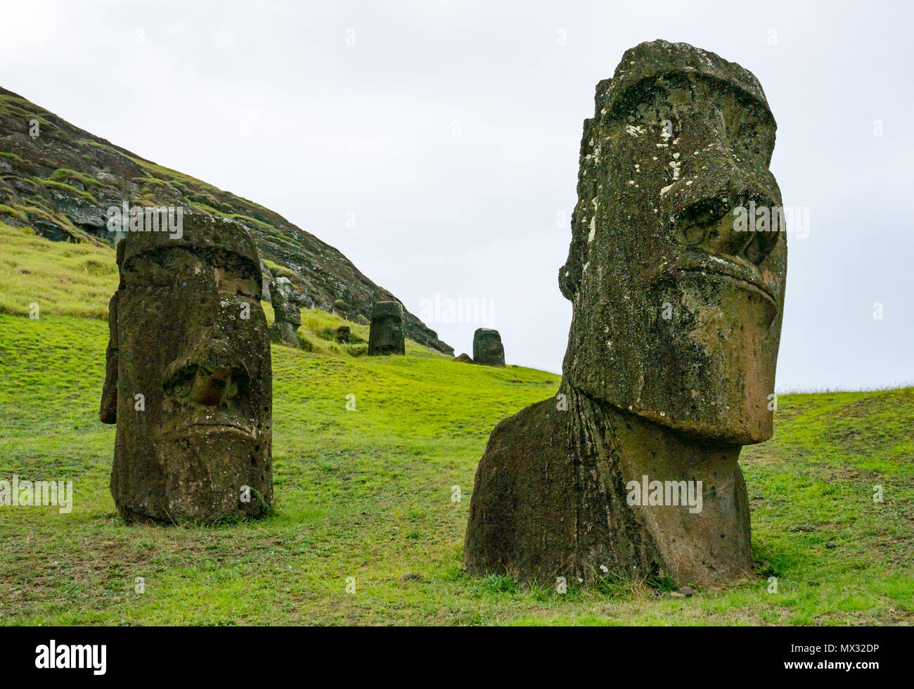 Incompiuta e abbandonata Moai teste, Rano Raraku cava, Isola di Pasqua, Rapa Nui, Cile Foto Stock