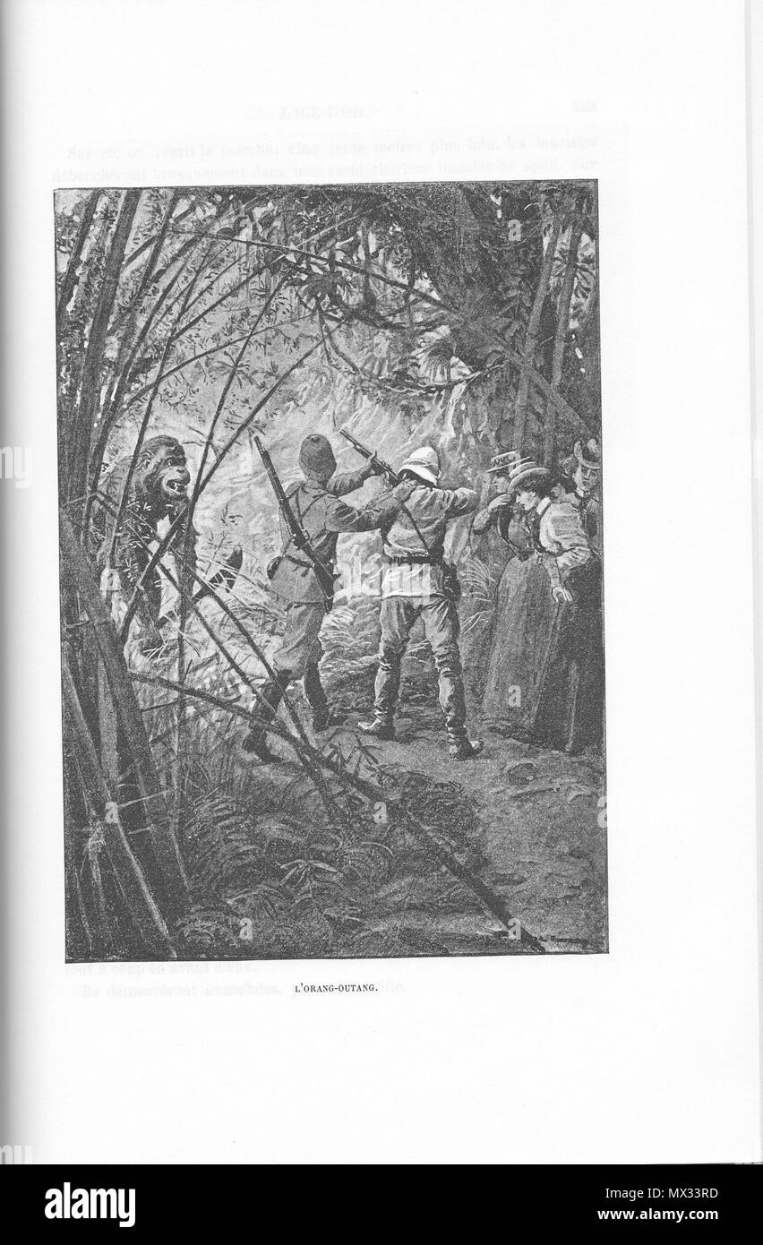 . Français : 'L'orang-outang', rotocalco d'onu dessin de Louis Tinayre pour le roman de Paul d'Ivoi "Triplex Corsaire' (1898). Illustrazione figurant dans la seconde partie du Roman, au chapitre 5. 8 febbraio 2014, 13:07:14. Louis Tinayre 303 Ivoi-CorsaireTriplex-Partie2-Chap5-illus-Lorangoutang Foto Stock