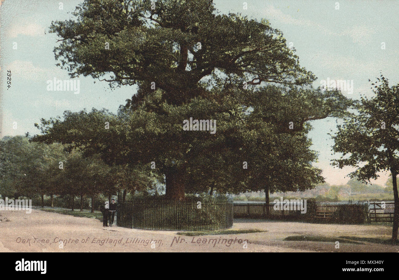 . Inglese: quercia antica a Leamington Spa, rinomato per contrassegnare il centro dell'Inghilterra. 13 febbraio 2014, 21:32:51. Sconosciuto 373 Lillington Midland Oak 1909 Foto Stock