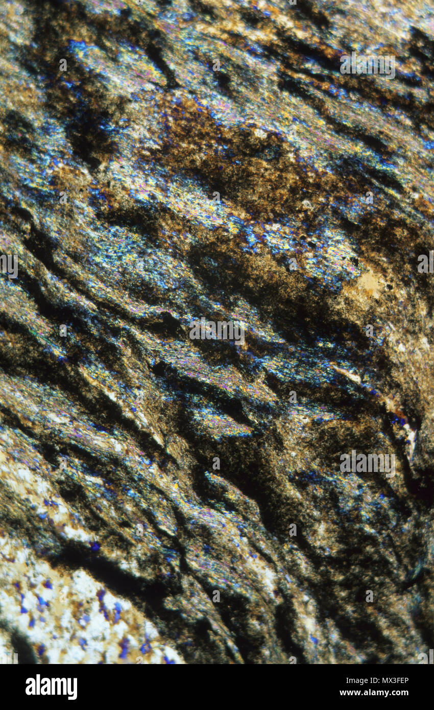 L'ardesia.rocce metamorfiche.Pirenei.Spagna.microscopio Petrograhic Foto Stock