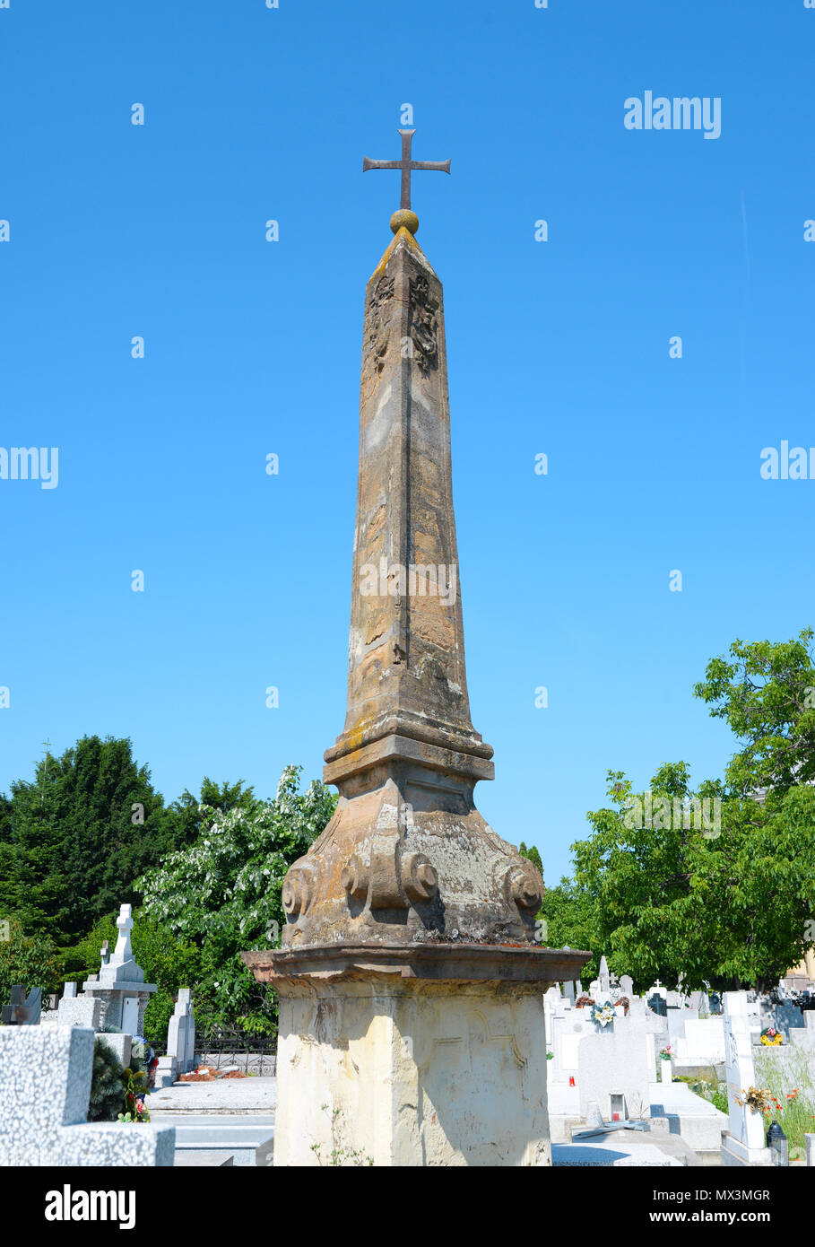 La città di Timisoara Romania Saint Ecaterina obelisco monumento in memoria Foto Stock