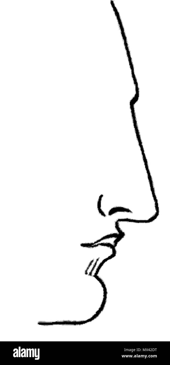 . Il naso dritto. Immagine da Warwick's Nasology, 1848 . Warwick 54 Aquain Nosen Foto Stock