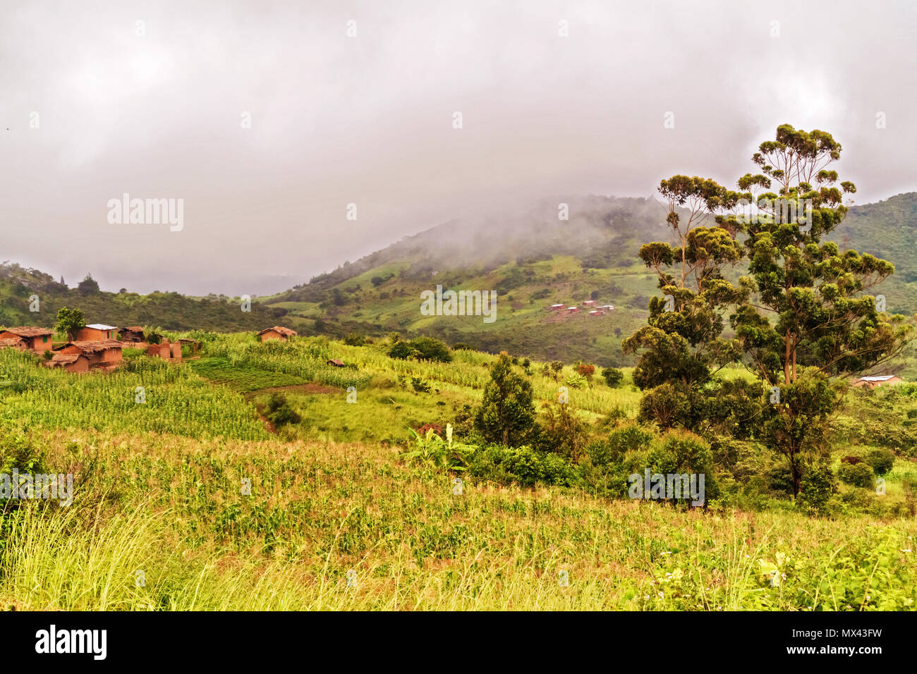 Scenic paesaggio rurale dalla strada vicino a Mzuzu in Malawi Foto Stock