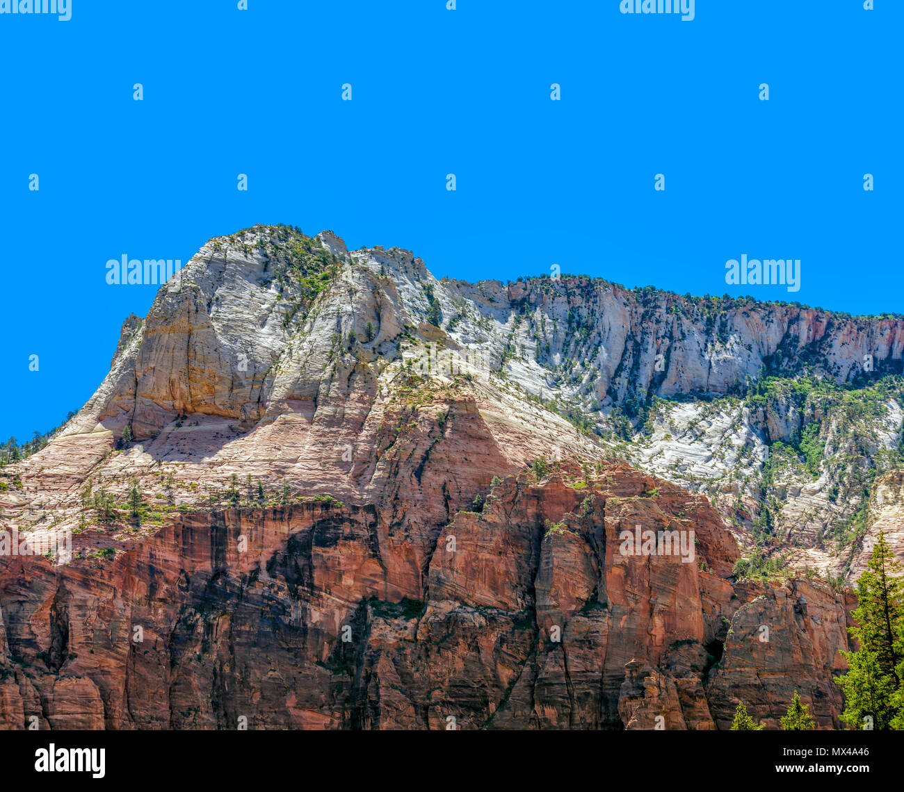 White rock stratificato sul red rock formando una ripida montagna verde con alberi, scogliere e ripide pareti del canyon sotto il cielo blu chiaro. Foto Stock