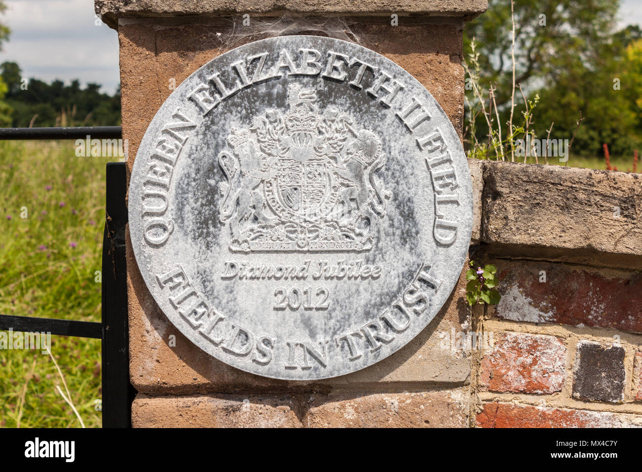 Campi nella placca di Trust at Streatley Prato, Streatley, Berkshire, Inghilterra, GB, Regno Unito Foto Stock