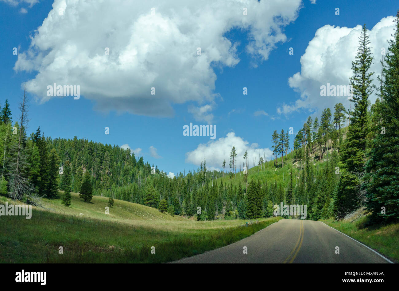 Scenic paese autostrada con colline, foreste e campi erbosi sotto il cielo blu con soffici nuvole. Foto Stock