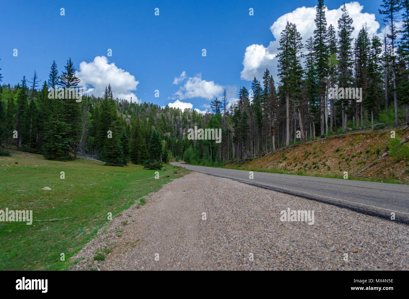 Sul lato sinistro della strada sulla ghiaia estrarre con verdi campi e foreste sotto il cielo blu con nuvole. Foto Stock
