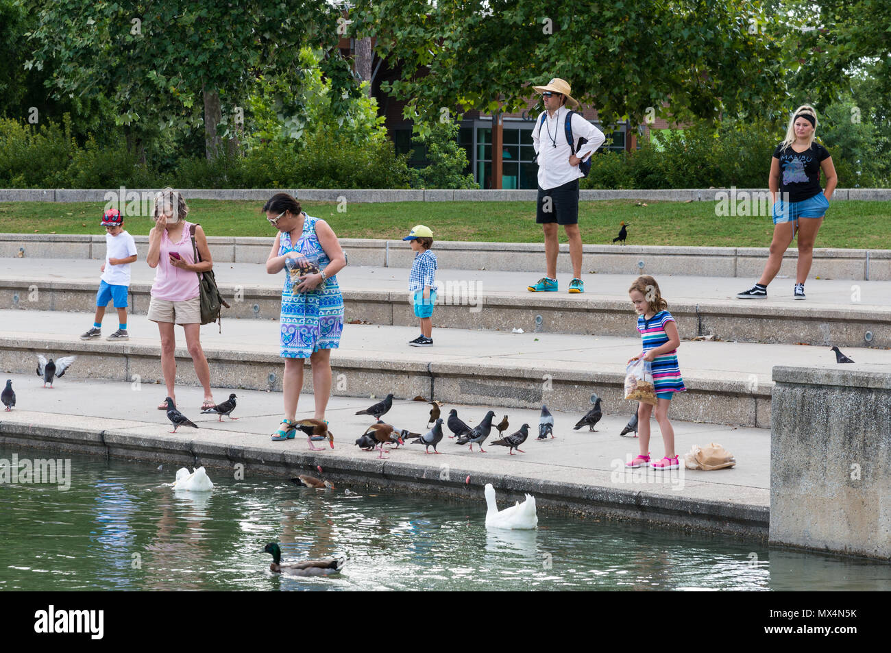 Le famiglie con bambini l'alimentazione piccioni e anatre da uno stagno a Hermann Park. Houston, Texas, Stati Uniti d'America. Foto Stock