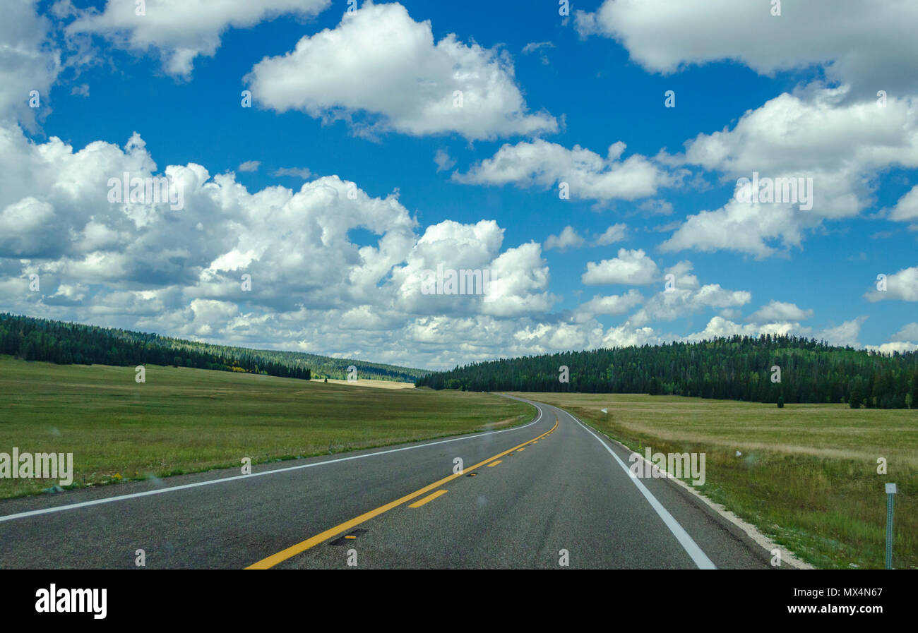 Rurale delicatamente lungo la curvatura autostrada con campi verdi su entrambi i lati che conduce in una foresta sotto il cielo blu con soffici nuvole bianche. Foto Stock