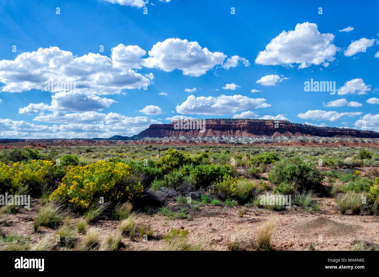 Vasto campo verde con cespugli e fiori con colorati stratificato altopiano di roccia in background sotto il cielo blu con soffici nuvole bianche. Foto Stock